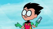 Robin
