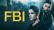 FBI: Special Crime Unit - Staffel 4 - Artwork