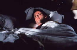 Aidan Quinn als David Ash