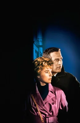Professor Michael Armstrong (Paul Newman, r.) und seine Verlobte Sarah Sherman (Julie Andrews, l.) geraten auf der Suche nach streng geheimen Informationen in gro&szlig;e Gefahr ...