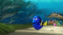 L-R: Dory, Mr. Ray