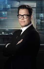 (6.Staffel) - Bull - Artwork
