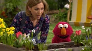Julia und Elmo k&uuml;mmern sich um eine Sonnenblume.
