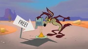 Wile E. Coyote Wile E. Coyote