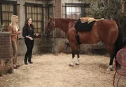 Max (Kat Dennings, r.) und Caroline (Beth Behrs, l.) nehmen sich einer streunenden Katze an und suchen ein neues Zuhause für sie. Doch das ist leichter gesagt als getan ... Max (Kat Dennings, r.) und Caroline (Beth Behrs, l.) nehmen sich einer streunenden Katze an und suchen ein neues Zuhause für sie. Doch das ist leichter gesagt als getan ...
