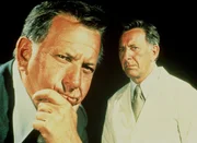 In den beiden Jubil&auml;umsshows werden die gr&ouml;&szlig;ten Stars, die sch&ouml;nsten Momente und die lustigsten Pannen aus der 25-j&auml;hrigen RTL-Erfolgsgeschichte noch einmal zu sehen sein.