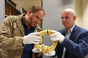 Im Norwich Museum trifft sich Josh mit dem Iceni-Experten John Davies, um mehr &uuml;ber die Iceni-Kultur und ihre raffinierten Goldarbeiten zu erfahren.