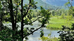 Naturschutzgebiet Guntschacher Au.