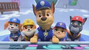v.li.: Wheeler, Rubble, Chase, Mix, Charger v.li.: Wheeler, Rubble, Chase, Mix, Charger