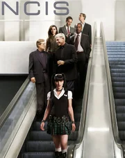 (9. Staffel) - Die behandelten F&auml;lle der NAVY CIS reichen von Spionage, T&ouml;tungsdelikten bis hin zu Terrorismus und gestohlenen U-Booten. Die Agenten (v. vorne n. hinten) Abby Sciuto (Pauley Perrette), Dr. Donald Mallard (David McCallum), Leroy Gibbs (Mark Harmon), Ziva David (Cote de Pablo), Leon Vance (Rocky Carroll), Anthony DiNozzo (Michael Weatherly) und Tim McGee (Sean Murray) ...