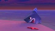 Sharkdog