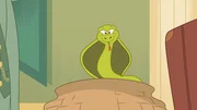 Cobra