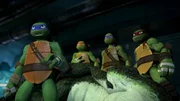 L-R: Leonardo, Michelangelo, Donatello, Raphael