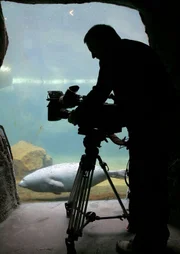 Kameramann Stefan Paul am Seel&ouml;wen-Aquarium.