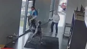 Great Dane Dubai and Autumn, a Chihuahua – scare off intruder – followed by homeowner Tracey McCoy Great Dane Dubai and Autumn, a Chihuahua – scare off intruder – followed by homeowner Tracey McCoy