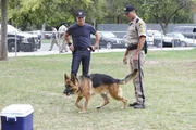Nick (George Eads, l.) und Sergeant Varanski (David S. Lee) beobachten Sp&uuml;rhund Sam beim Training.