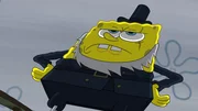 Captain SpongeHab