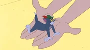 Tom