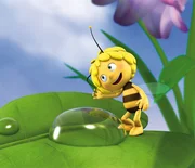 Maja mag Tautropfen.