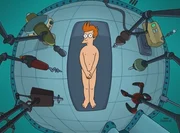 Fry Fry