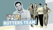 Das Logo zu "Der Hundeprofi - R&uuml;tters Team".