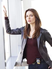 Detective Julia Porter (Saffron Burrows) Detective Julia Porter (Saffron Burrows)