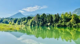 Flachwasserzone bei Selkach an der Drau.