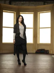 Steht dem durchgeknallten Ermittler Sherlock Holmes zur: Joan Watson (Lucy Liu) ...