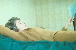 Als Sarah (Julie Andrews) eine geheime Nachricht f&uuml;r ihren Verlobten entgegennimmt, muss sie best&uuml;rzt feststellen, dass der bekannte amerikanische Kernphysiker sich offenbar nach Ostberlin absetzen will. Kurzerhand beschlie&szlig;t sie, ihm hinter den "Eisernen Vorhang" zu folgen.