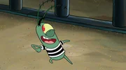 Plankton