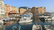 Die bunten Fischerh&auml;user am Hafen von Camogli.