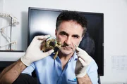Vet doctor Noel Fitzpatrick builds prostheses for the missing legs of Hermes turtle