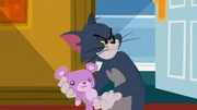 Tom Tom
