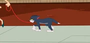 Tom