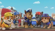v.li.: Rubble, Wheeler, Chase, Charger, Mix v.li.: Rubble, Wheeler, Chase, Charger, Mix