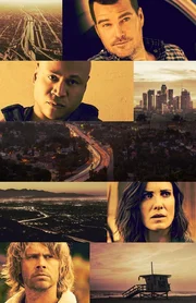 (13. Staffel) - Navy CIS: L.A. - Artwork