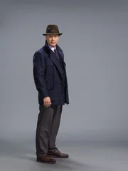 Raymond 'Red' Reddington (James Spader).
