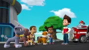 L-R: Rocky, Zuma, Skye, Julius, Rubble, Julia, Ryder, Marshall