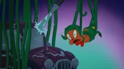 Porky Pig