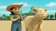 Farmer Yumi