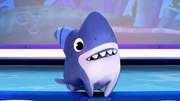 Sharkdog