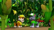 L-R: Rubble, Rocky