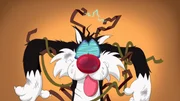 Sylvester