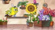 SpongeBob