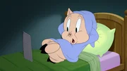 Porky Pig