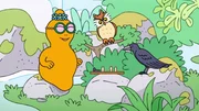 Barbasophie