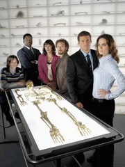 (1. Staffel) - (v.l.n.r.) Zack Addy (Eric Millegan); Dr. Goodman (Jonathan Adams); Angela Montenegro (Michaela Conlin); Dr. Hodgins (T.J. Thyne); Booth (David Boreanaz); Dr. Brennan (Emily Deschanel)