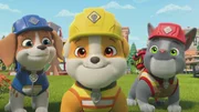 v.li.: Wheeler, Rubble, Charger v.li.: Wheeler, Rubble, Charger