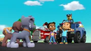 L-R: Skye, Zuma, Rocky, Marshall, Julia, Julius, Chase