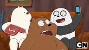 L-R: Ice Bear, Grizzly, Panda